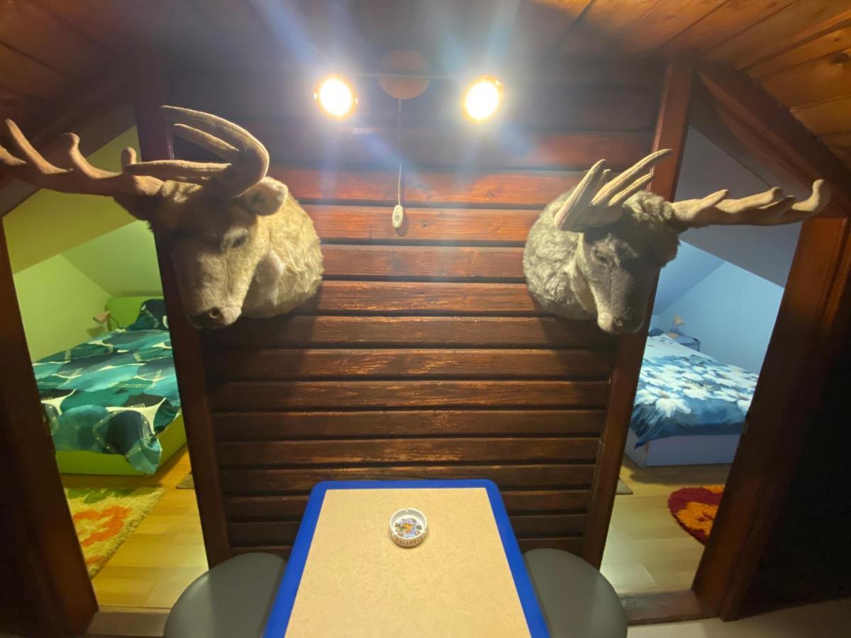 Cabana Cu Teren De Tenis -- Etaj Banita エクステリア 写真