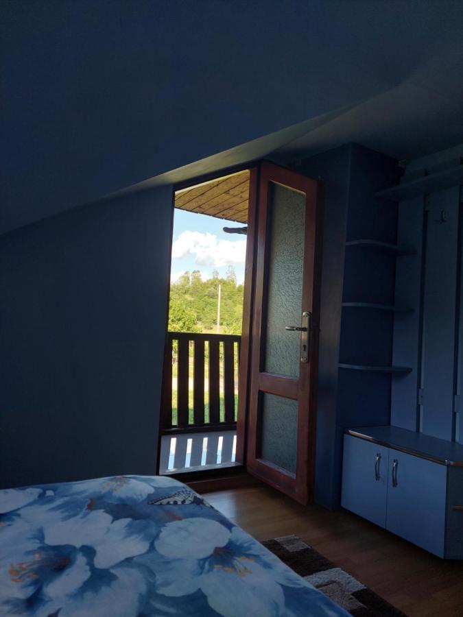 Cabana Cu Teren De Tenis -- Etaj Banita エクステリア 写真