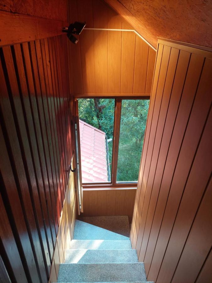 Cabana Cu Teren De Tenis -- Etaj Banita エクステリア 写真