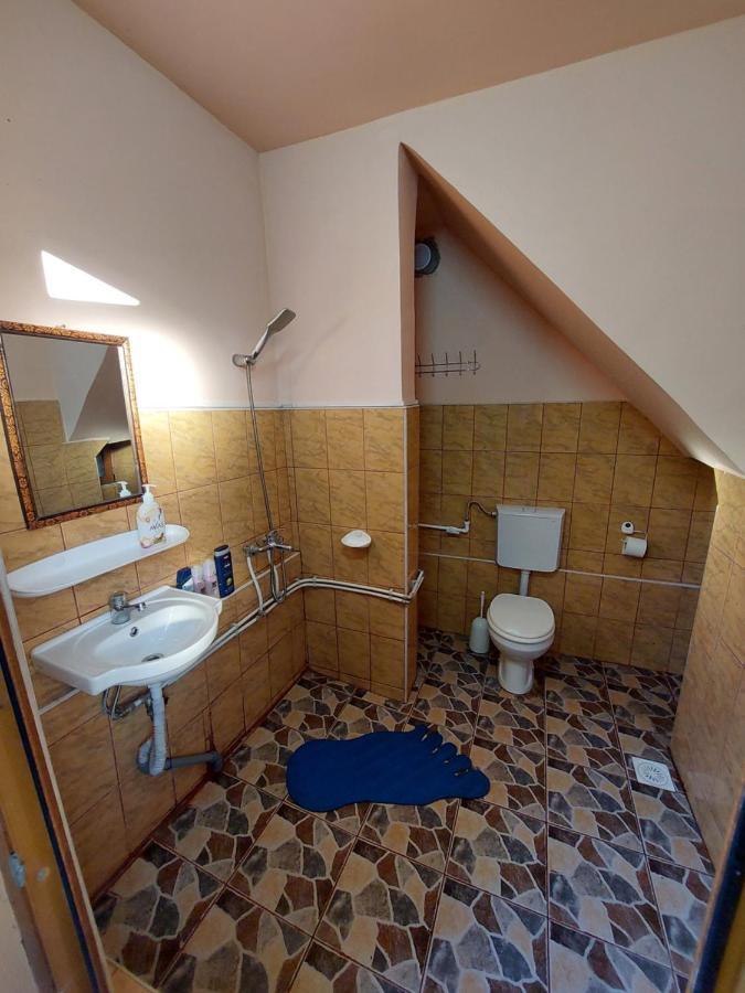 Cabana Cu Teren De Tenis -- Etaj Banita エクステリア 写真