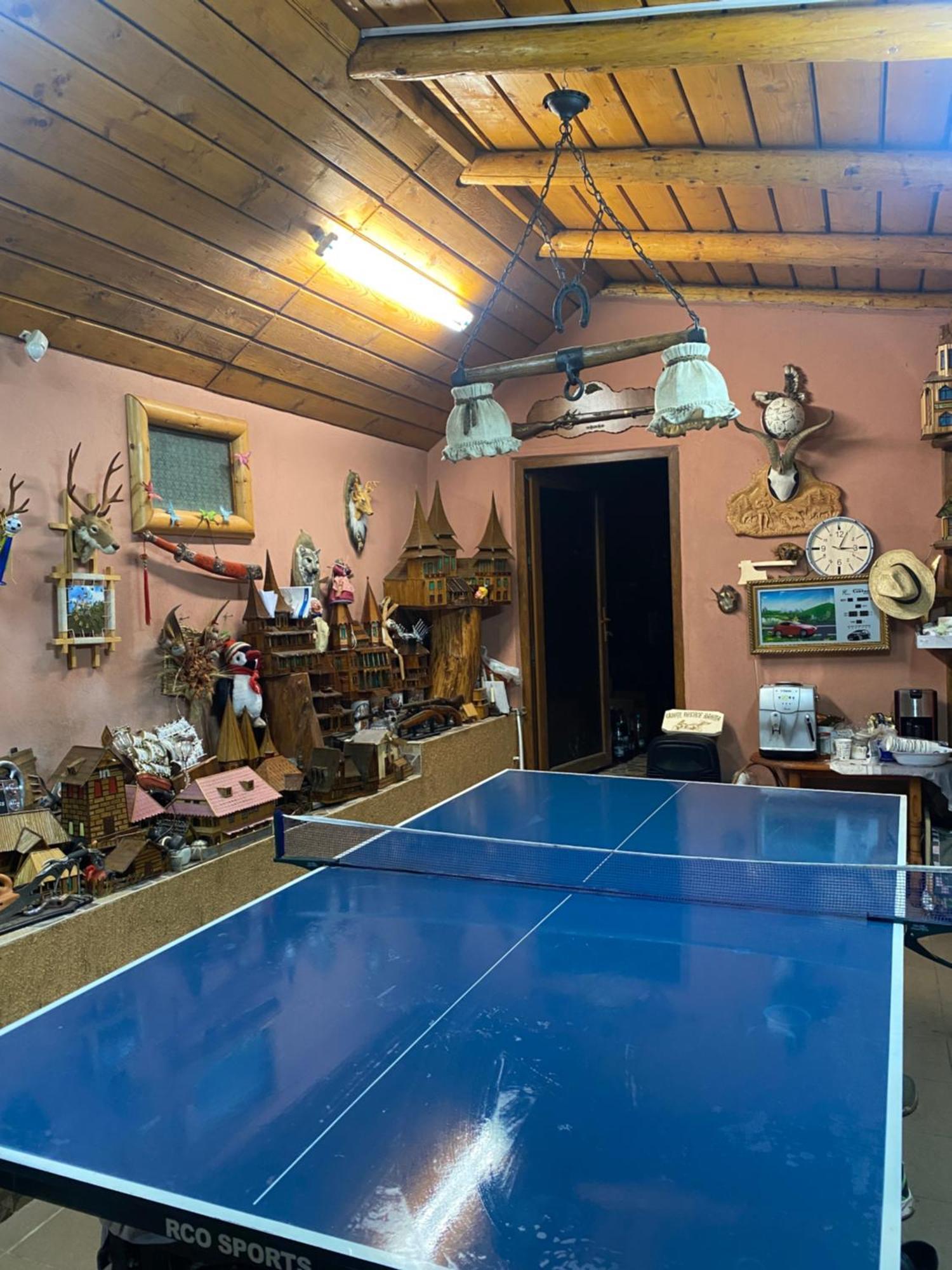 Cabana Cu Teren De Tenis -- Etaj Banita エクステリア 写真
